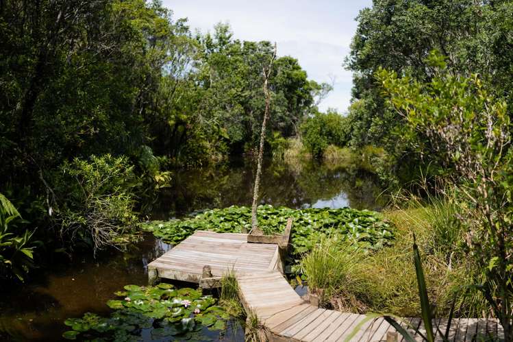 1024 Takatu Road Matakana_27