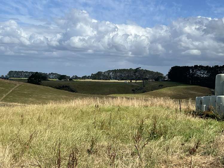 2678 Awhitu Road Awhitu_6