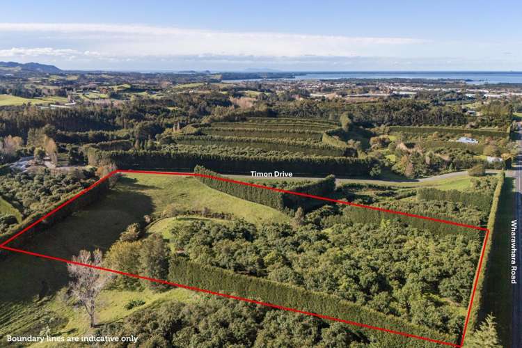 222 Wharawhara Road Katikati_18