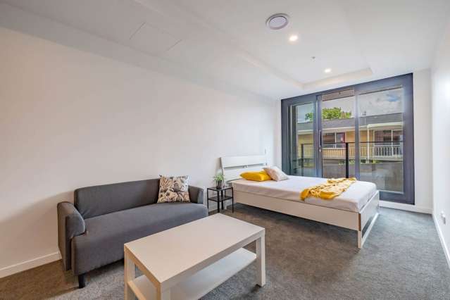 Funished Studio Apartment on Dominion Rd