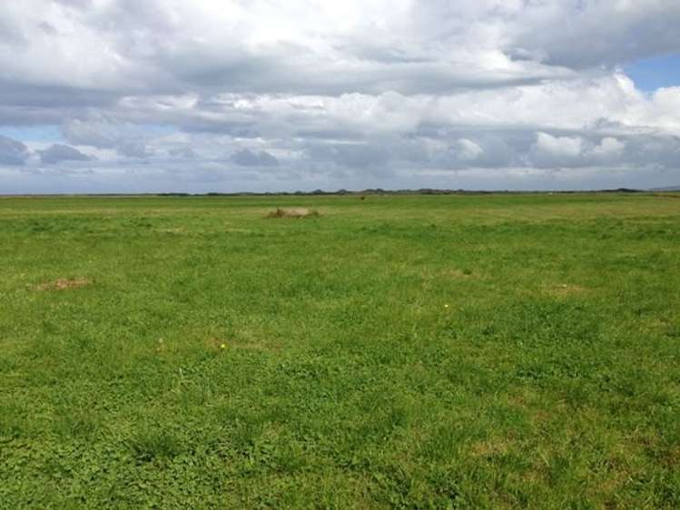 1110 Waimatuku Bush Road Taramoa_16