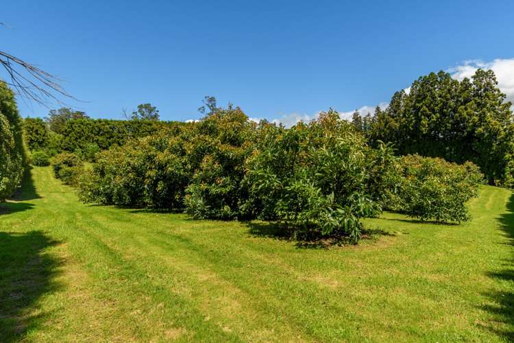 44 Walker Road West Aongatete_23