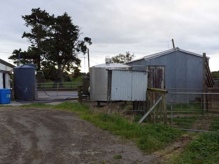 1102 Mangorei Road Mangorei_6