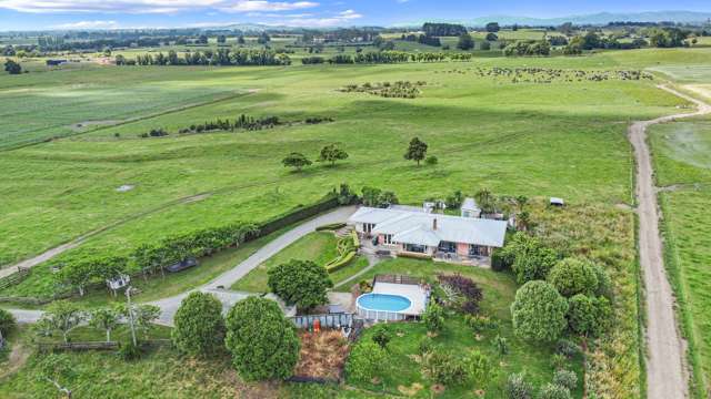 Dress Circle Morrinsville Dairy Unit