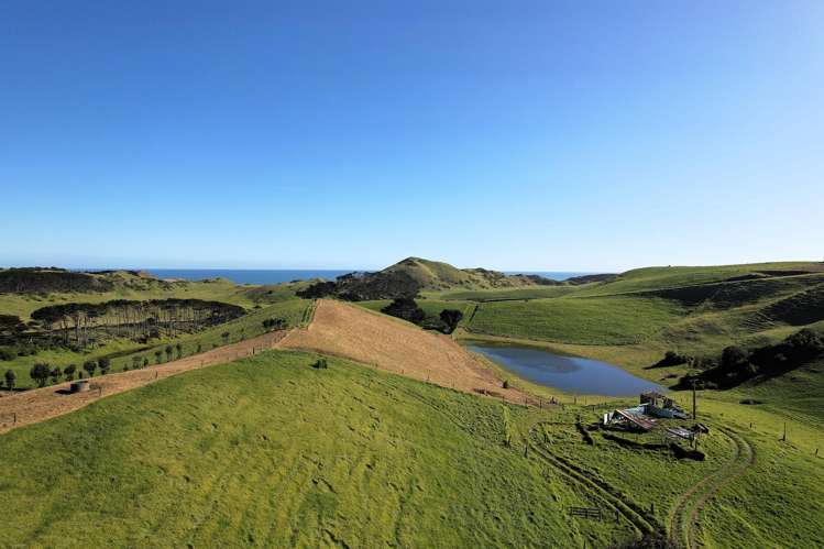 Rehutai Road Baylys Beach_8