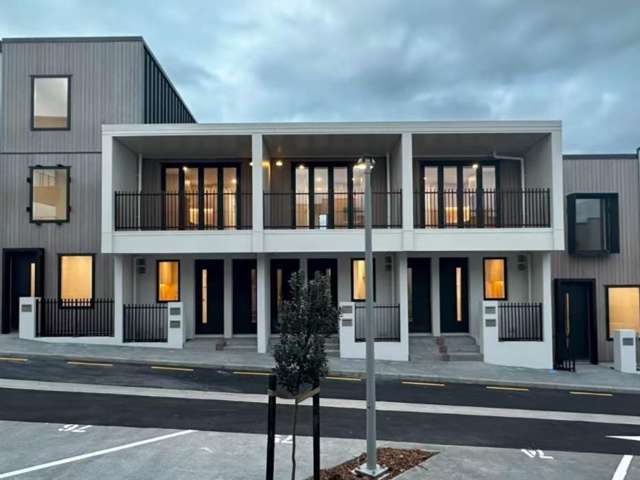 115 Hadlow Terrace Grey Lynn_1