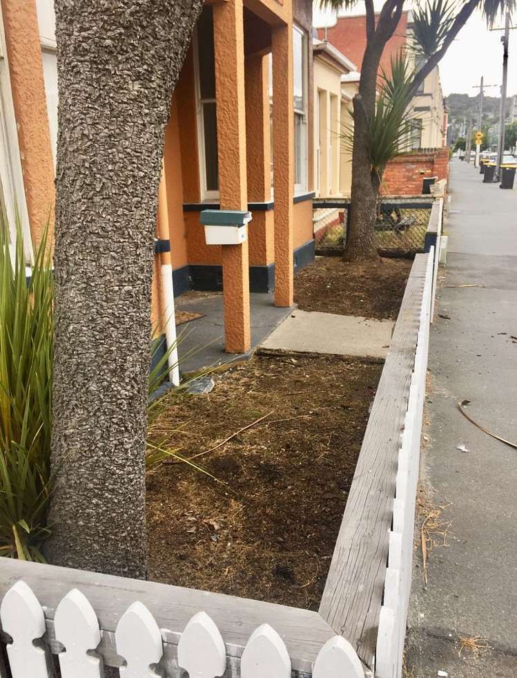 160 Albany Street North Dunedin_11