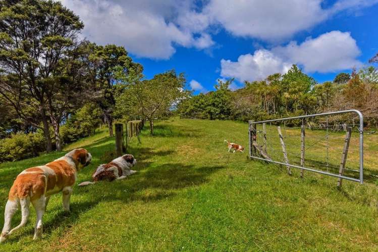 430 Ridge Road Coatesville_8