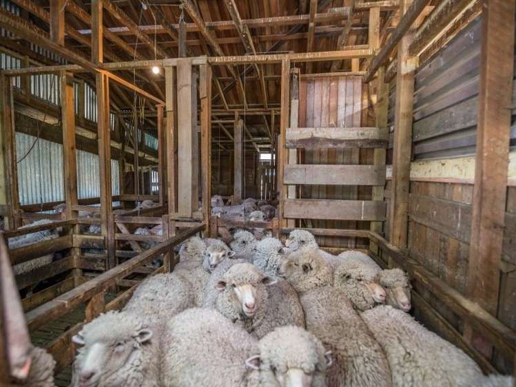 307 Broxton Road MacDonald Downs_16