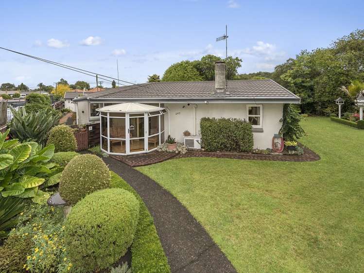 207 Peachgrove Road Claudelands_16