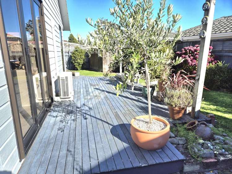  2 Freyberg Street Waterloo_14