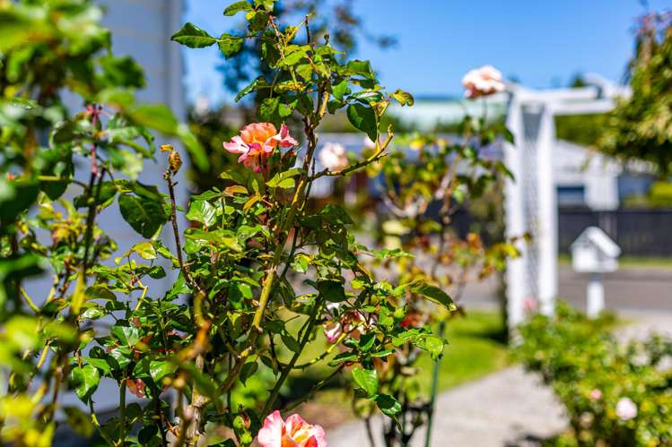 3 Tiwakawaka Grove Heretaunga_21