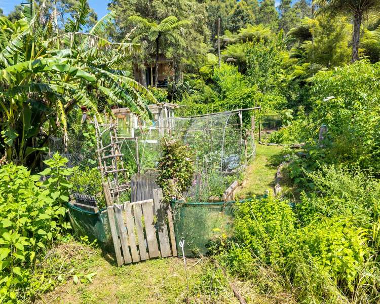 Ohiwa Loop Road Waiotahi_27