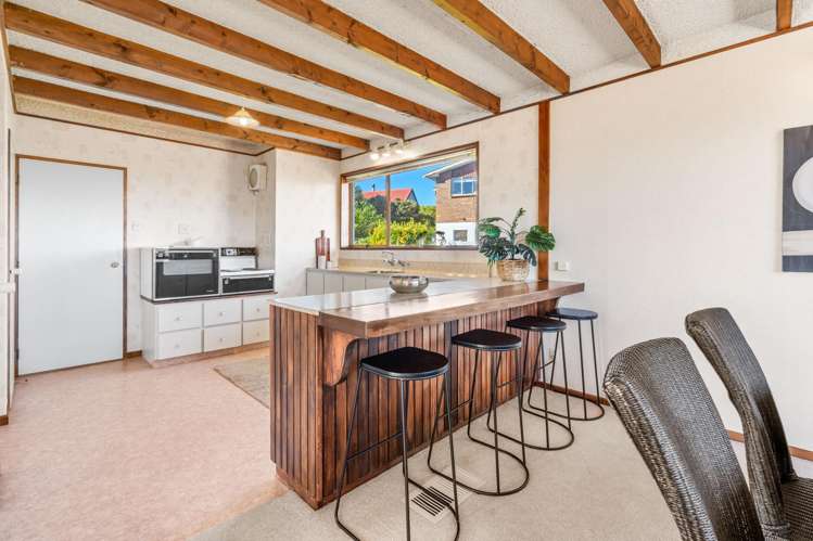 224 Larnach Road Waverley_10