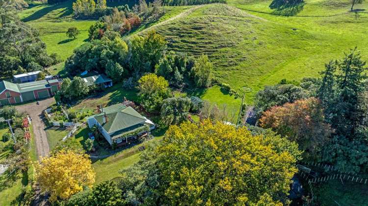 Lot 16, 1061 Makino Road Halcombe_20