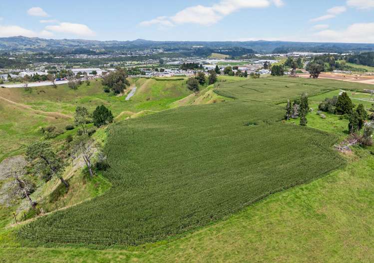 764 SH 29 Ferncliffe Farm Tauriko_5