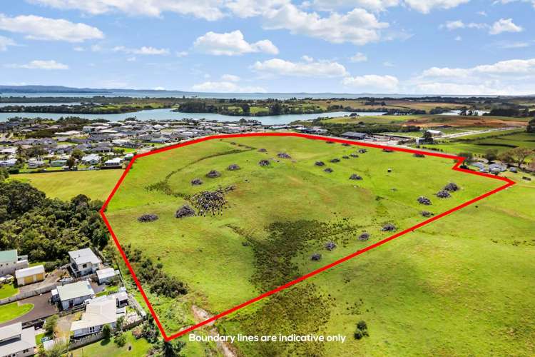 80 McLarin Road Glenbrook_5