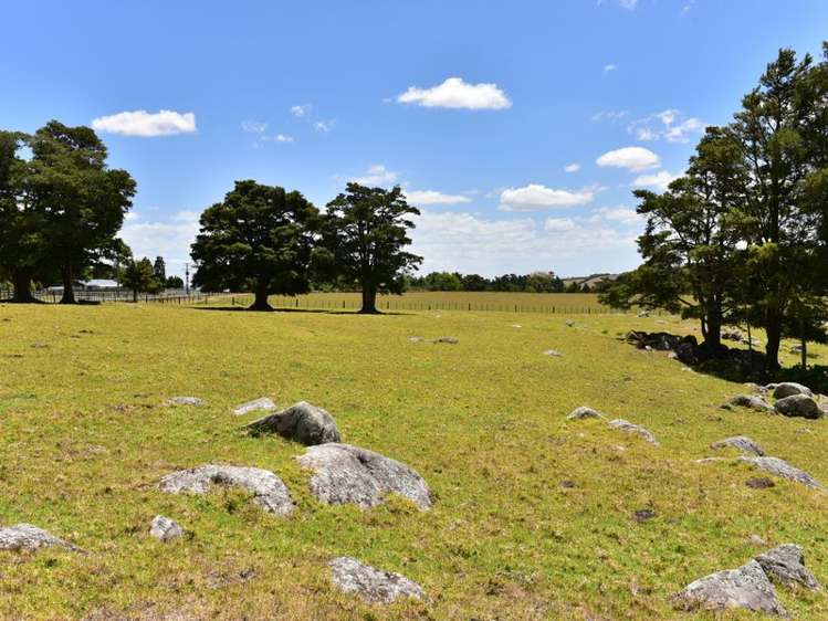 471 Crane Road Kauri_4