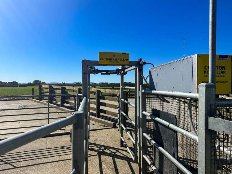 793 Edendale Woodlands Highway Winton Surrounds_7