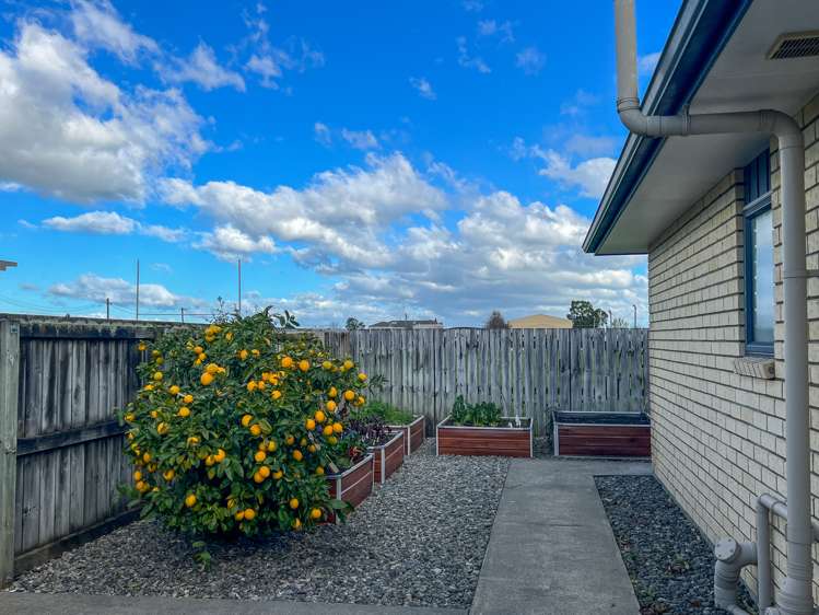 6 Alexis Greer Lane Carterton_18