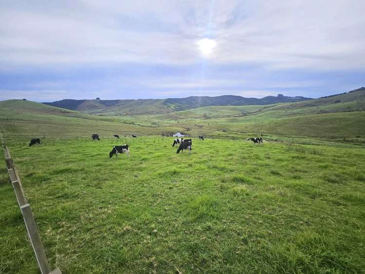 Lot 2/36 Te Moho Road Taipa_18