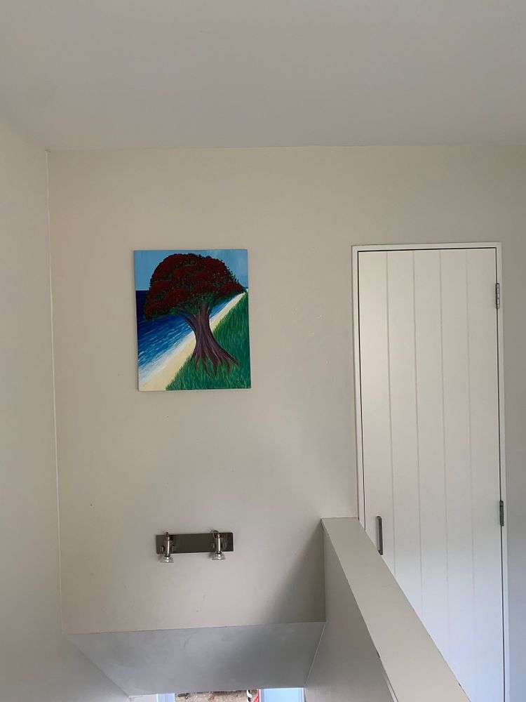 31C Buller Street Te Aro_6