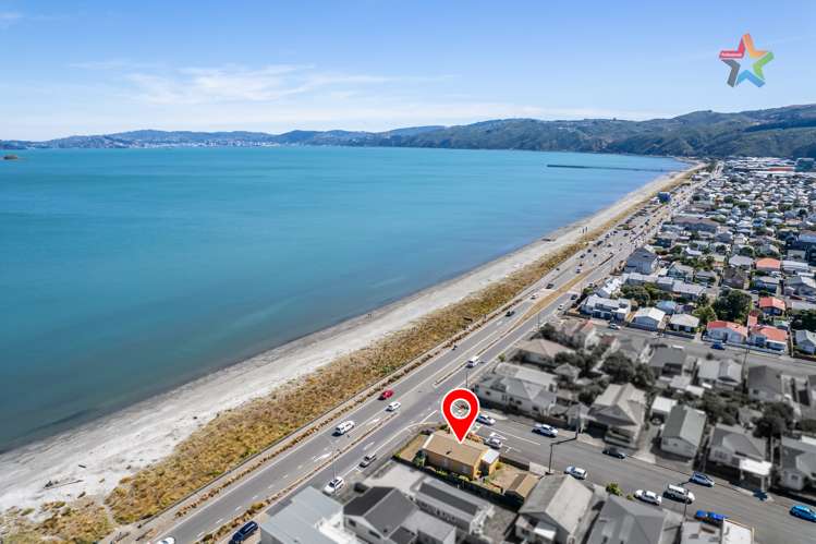 217 The Esplanade Petone_9