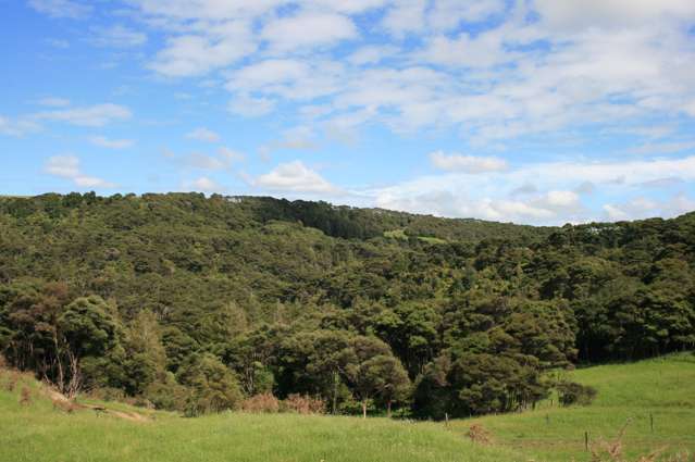 1295 Old North Road Helensville_3