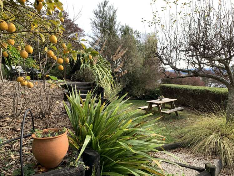 29 Marlborough Crescent Richmond_8