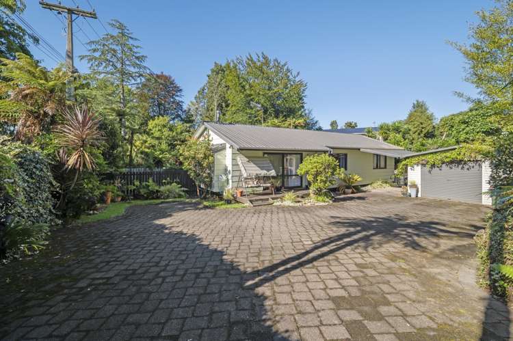 12b Springfield Road Springfield_14