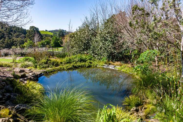 382 Tara Road Mangawhai_14