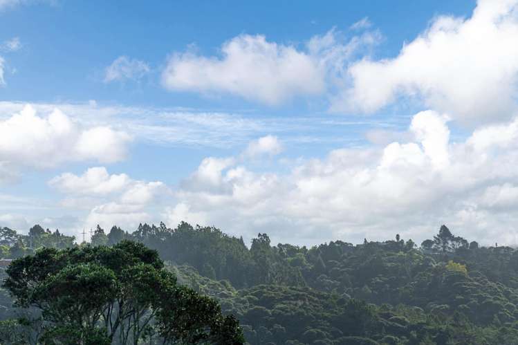 145 Manuka Road Bayview_17