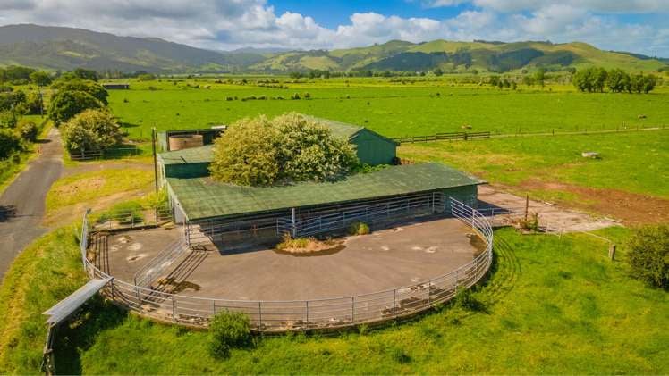 20 Ryall Road Paeroa_8