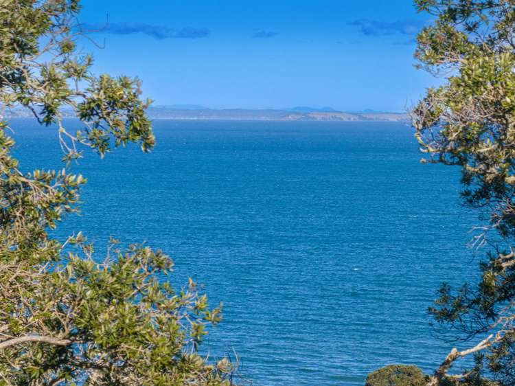 6 Cochrane Avenue Arkles Bay_9