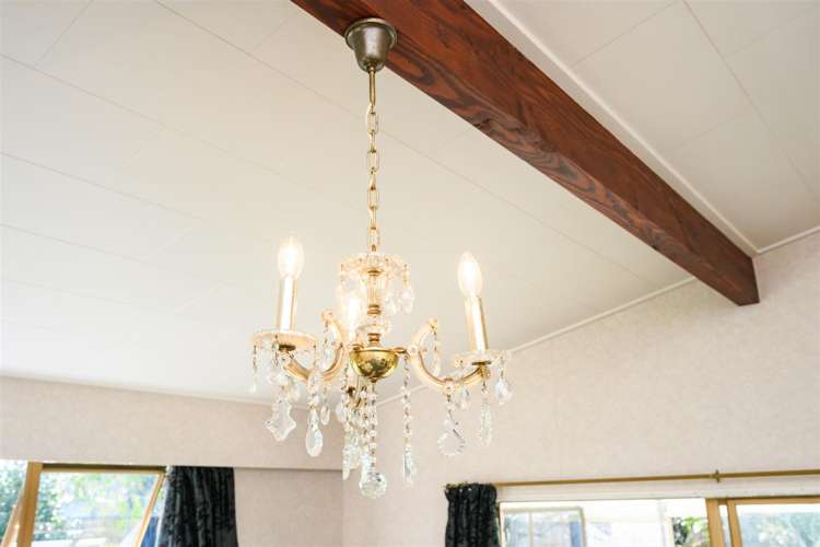 6 Flower Street Bulls_18