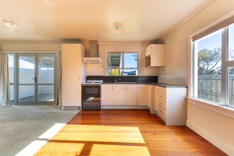 46A Kaimanawa Street_1