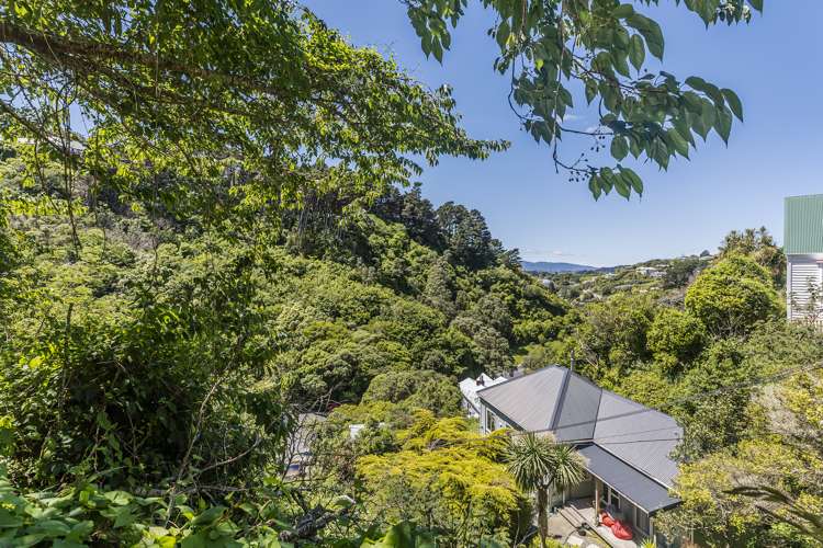 7 Thule Street Aro Valley_14