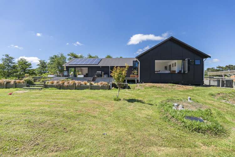 113 Dorset Road Hillsborough_22