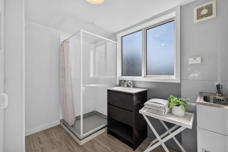 165A Brougham Street Sydenham_7