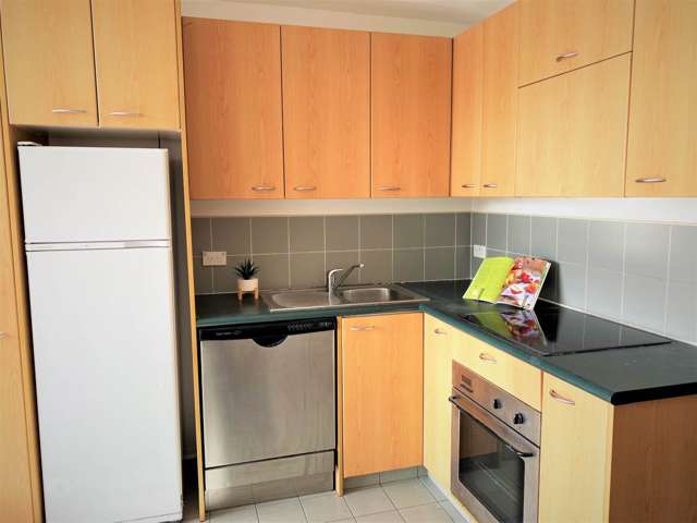 13c/13 Mount Street Auckland Central_1