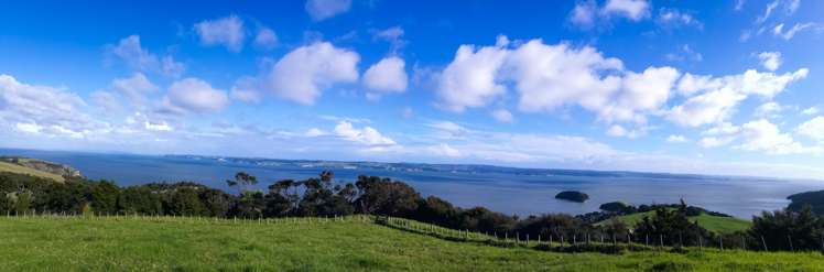 1188e Tinopai Road Tinopai_10