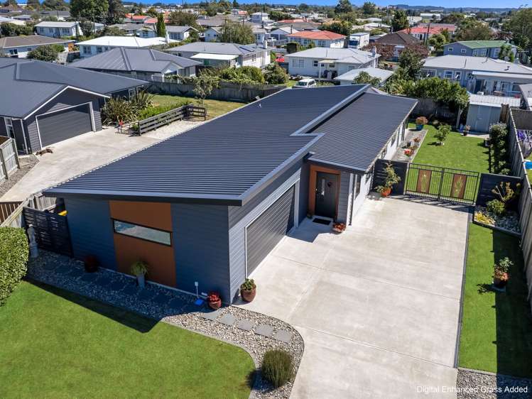 10 Ash Close Levin Levin_29