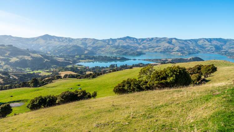 5162 Christchurch Akaroa Road French Farm_35