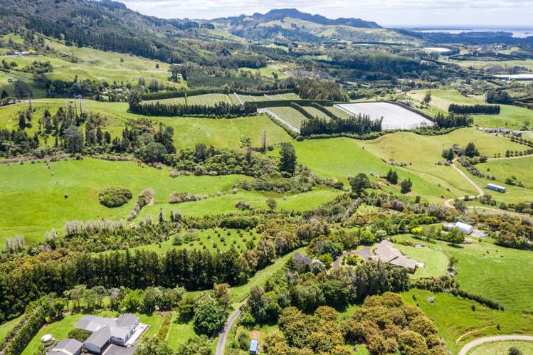 244 Lindemann Road Tahawai_43