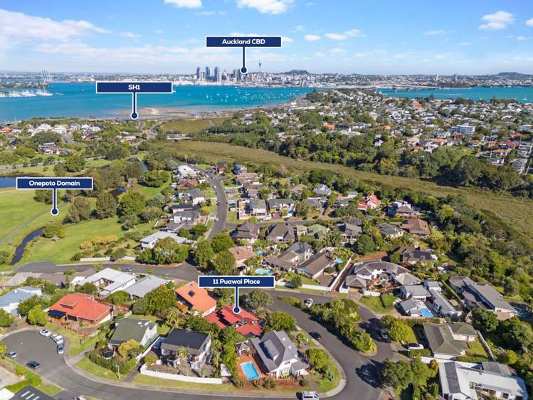 11 Puawai Place Northcote_2