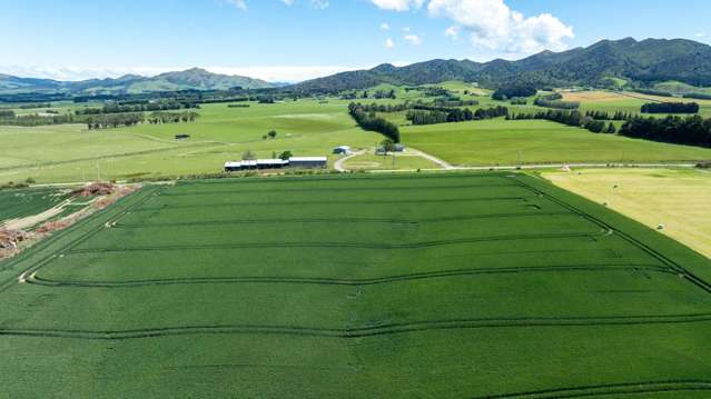 205 Reaby Road Gore_1