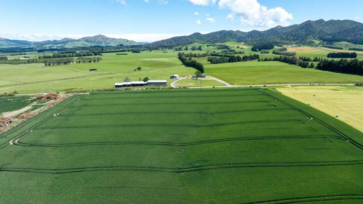 205 Reaby Road Gore_1