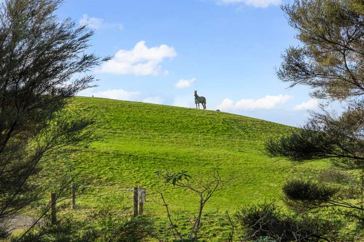 154 Muriwai Valley Road Waimauku_20