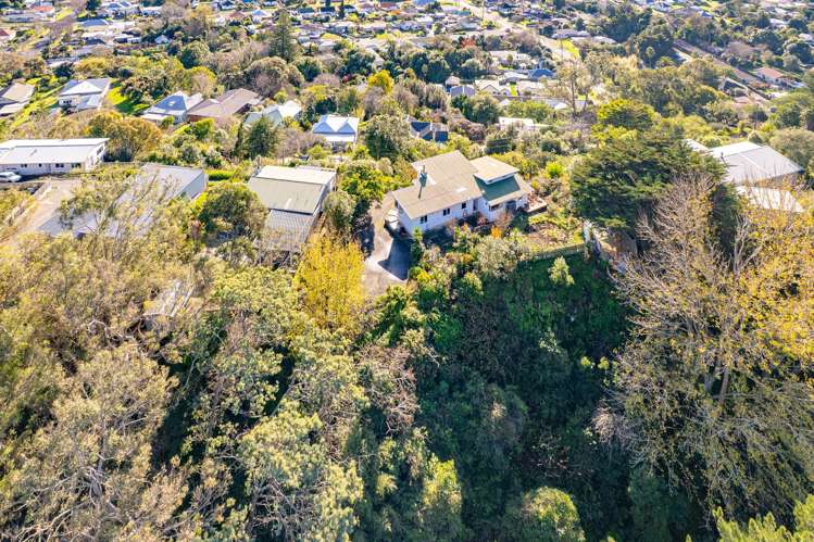 46 Mt View Road Bastia Hill_35