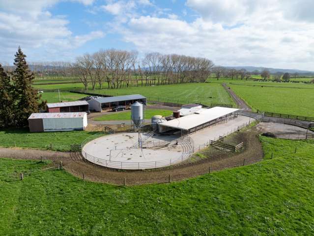 67 Wiseman Road Springdale_3